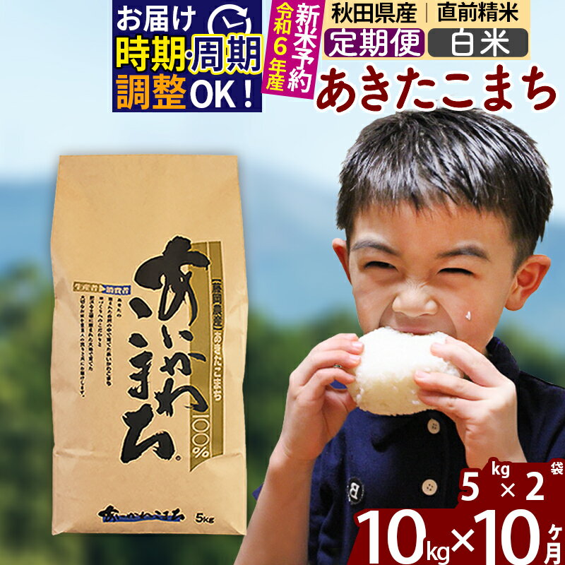 【ふるさと納税】※令和6年産 新米予約※《定期便10ヶ月》秋田県産 あきたこまち 10kg【白米】(5kg小分け袋) 2024年産 お届け周期調整可能 隔月に調整OK お米 藤岡農産