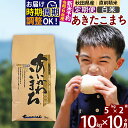 【ふるさと納税】※令和6年産 新米予約※《定期便10ヶ月》秋田県産 あきたこまち 10kg【白米】(5kg小分け袋) 2024年産 お届け周期調整可能 隔月に調整OK お米 藤岡農産