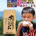 24位! 口コミ数「1件」評価「4」※令和6年産 新米予約※《定期便11ヶ月》秋田県産 あきたこまち 10kg【白米】(5kg小分け袋) 2024年産 お届け周期調整可能 隔月･･･ 