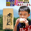 【ふるさと納税】※令和6年産 新米予約※《定期便3ヶ月》秋田