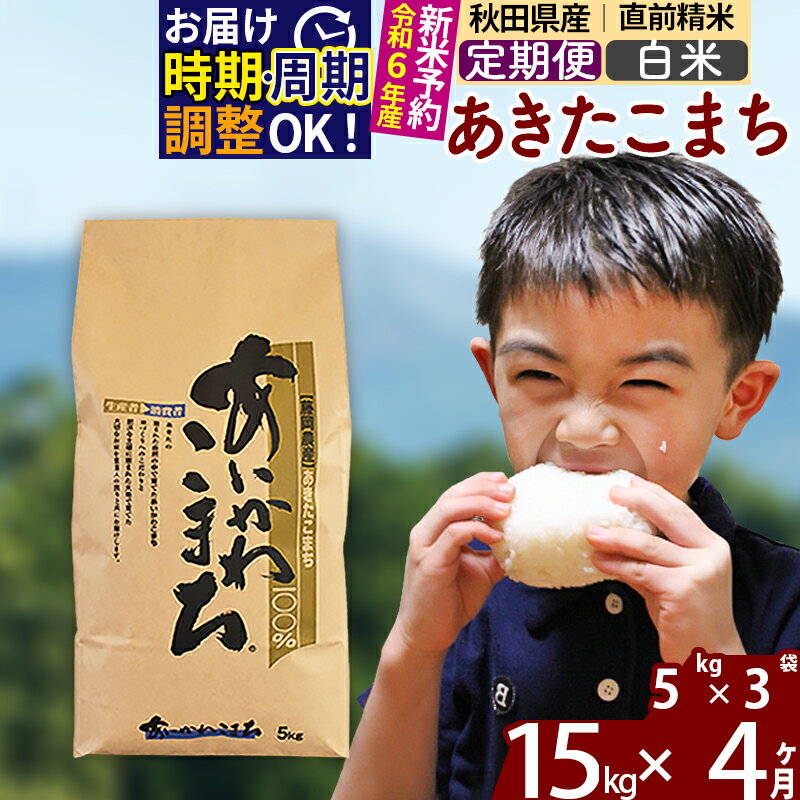 【ふるさと納税】※令和6年産 新米予約※《定期便4ヶ月》秋田