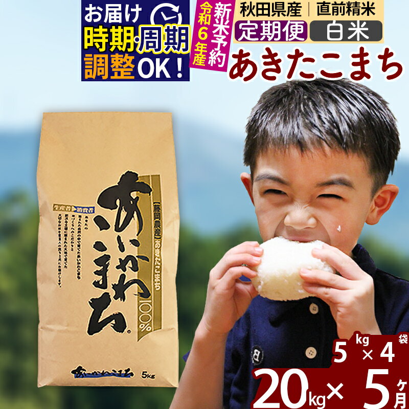 【ふるさと納税】※令和6年産 新米予約※《定期便5ヶ月》秋田