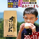 【ふるさと納税】※令和6年産 新米予約※《定期便11ヶ月》秋田県産 あきたこまち 20kg【白米】(5kg小分け袋) 2024年産 お届け周期調整可能 隔月に調整OK お米 藤岡農産