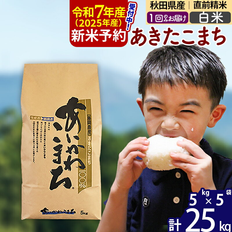 【ふるさと納税】※令和6年産 新米予約※秋田県産 あきたこまち 25kg【白米】(5kg小分け袋) 【1回のみお届け】2024産 お米 藤岡農産