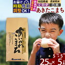 【ふるさと納税】 《定期便5ヶ月》 【白米】 秋田県産 あきたこまち 25kg (5kg×5袋)×5回 計125kg 令和3年産 時期選べる お届け周期調整可能 隔月に調整OK あいかわこまち 一等米 5か月 5ヵ月 5カ月 5ケ月 25キロ お米