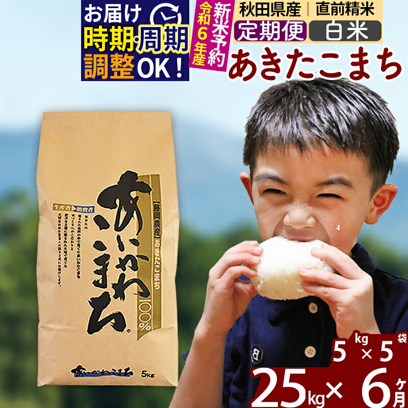 【ふるさと納税】※令和6年産 新米予約※《定期便6ヶ月》秋田