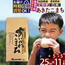 24位! 口コミ数「0件」評価「0」※令和6年産 新米予約※《定期便11ヶ月》秋田県産 あきたこまち 25kg【白米】(5kg小分け袋) 2024年産 お届け周期調整可能 隔月･･･ 