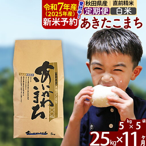 【ふるさと納税】※令和7年産 新米予約※《定期便11ヶ月》秋田県産 あきたこまち 25kg【白米】(5kg小分け袋) 2025年産 お届け周期調整可能 隔月に調整OK お米 藤岡農産 【ふるさと納税】※令和7年産 新米予約※《定期便11ヶ月》秋田県産 あきたこまち 25kg【白米】(5kg小分け袋) 2025年産 お届け周期調整可能 隔月に調整OK お米 藤岡農産