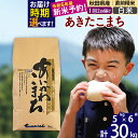 【ふるさと納税】※令和6年産 新米予約※秋田県産 あきたこま