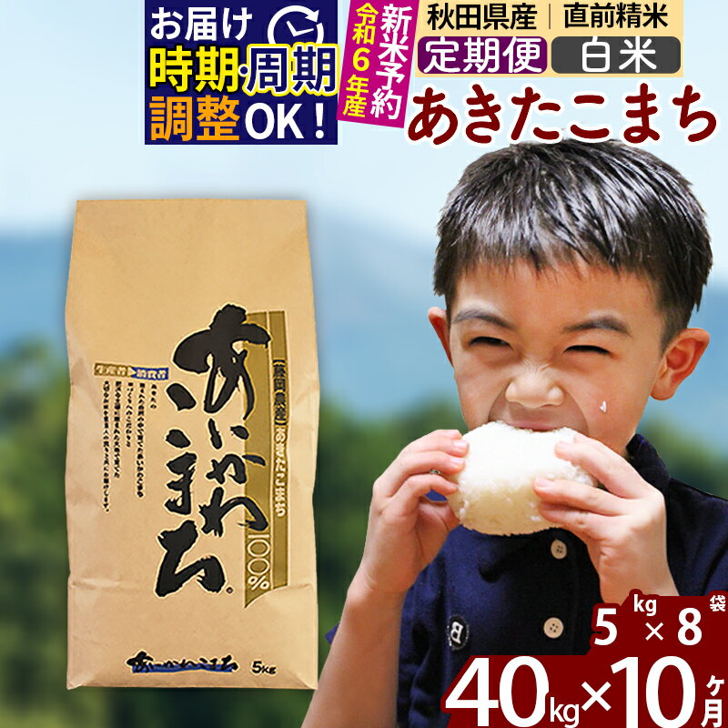 【ふるさと納税】※令和6年産 新米予約※《定期便10ヶ月》秋田県産 あきたこまち 40kg【白米】(5kg小分け袋) 2024年産 お届け周期調整可能 隔月に調整OK お米 藤岡農産