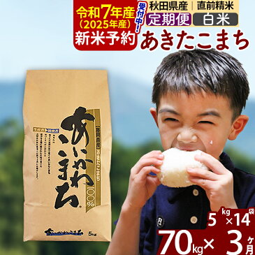 【ふるさと納税】 《定期便3ヶ月》 【白米】 秋田県産 あきたこまち 70kg (5kg×14袋)×3回 計210kg 令和3年産 時期選べる新米 令和4年 お届け周期調整可能 隔月に調整OK 一等米 3か月 3ヵ月 3カ月 3ケ月 70キロ お米