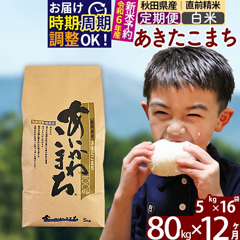 ※令和6年産 新米予約※[定期便12ヶ月]秋田県産 あきたこまち 80kg[白米](5kg小分け袋) 2024年産 お届け周期調整可能 隔月に調整OK お米 藤岡農産