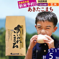 【玄米】 秋田県産 あきたこまち 5kg（5kg×1袋）