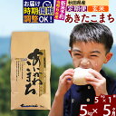 【ふるさと納税】※令和7年産 新米予約※《定期便5ヶ月》秋田県産 あきたこまち 5kg【玄米】(5kg小分け袋) 2025年産 お届け周期調整可能 隔月に調整OK お米 藤岡農産