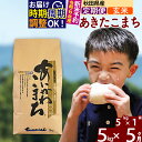 【ふるさと納税】※令和6年産 新米予約※《定期便5ヶ月》秋田