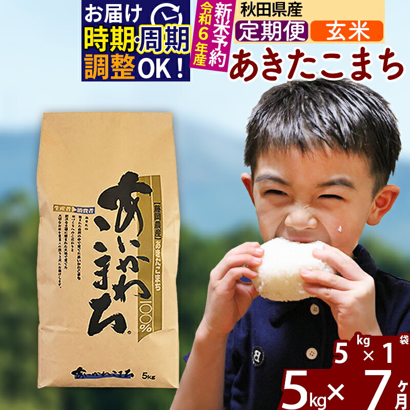 【ふるさと納税】※令和6年産 新米予約※《定期便7ヶ月》秋田