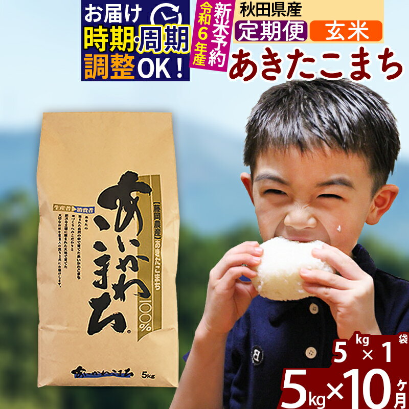 【ふるさと納税】※令和6年産 新米予約※《定期便10ヶ月》秋