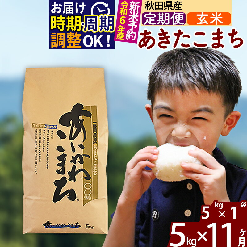 【ふるさと納税】※令和6年産 新米予約※《定期便11ヶ月》秋