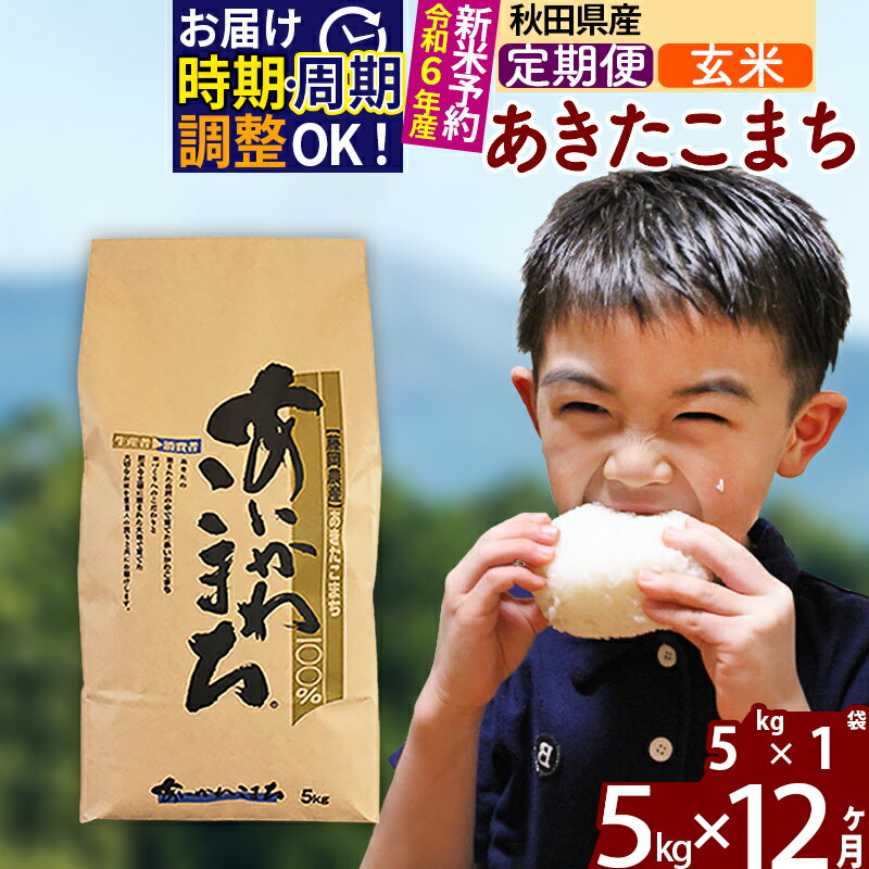 【ふるさと納税】※令和6年産 新米予約※《定期便12ヶ月》秋