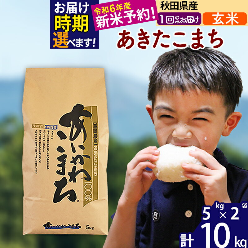 【ふるさと納税】※令和6年産 新米予約※秋田県産 あきたこまち 10kg【玄米】(5kg小分け袋) 【1回のみお届け】2024産 お米 藤岡農産