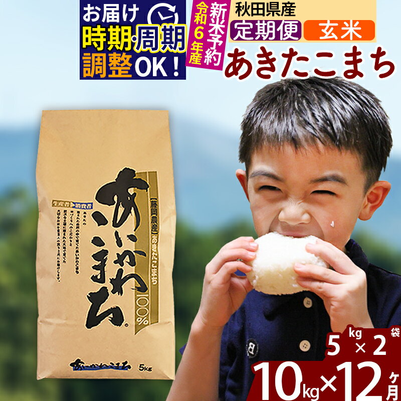 27位! 口コミ数「0件」評価「0」※令和6年産 新米予約※《定期便12ヶ月》秋田県産 あきたこまち 10kg【玄米】(5kg小分け袋) 2024年産 お届け周期調整可能 隔月･･･ 