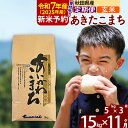 【ふるさと納税】※令和7年産 新米予約※《定期便11ヶ月》秋田県産 あきたこまち 15kg【玄米】(5kg小分け袋) 2025年産 お届け周期調整可能 隔月に調整OK お米 藤岡農産