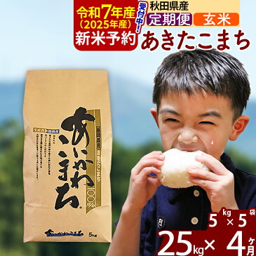 【ふるさと納税】 《定期便4ヶ月》 【玄米】 秋田県産 あきたこまち 25kg (5kg×5袋)×4回 計100kg 令和3年産 時期選べる新米 令和4年 お届け周期調整可能 隔月に調整OK 一等米 4か月 4ヵ月 4カ月 4ケ月 25キロ お米