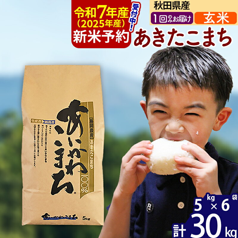 【ふるさと納税】※令和6年産 新米予約※秋田県産 あきたこま