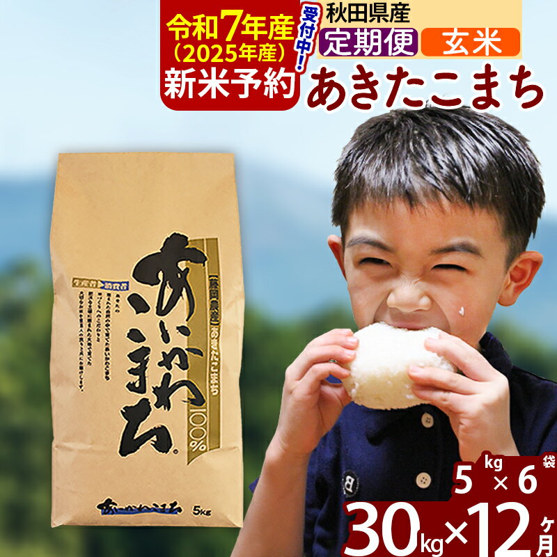 【ふるさと納税】 《定期便12ヶ月》 【玄米】 秋田県産 あきたこまち 30kg (5kg×6袋)×12回 計360kg 令和3年産 時期選べる新米 令和4年 お届け周期調整可能 隔月に調整OK 一等米 12か月 12ヵ月 12カ月 12ケ月 30キロ お米