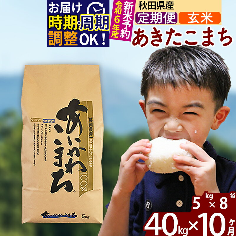 【ふるさと納税】※令和6年産 新米予約※《定期便10ヶ月》秋田県産 あきたこまち 40kg【玄米】(5kg小分け袋) 2024年産 お届け周期調整可能 隔月に調整OK お米 藤岡農産