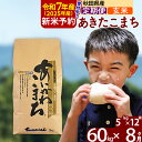 【ふるさと納税】 【玄米】 《定期便8ヶ月》 秋田県産 あきたこまち 60kg (5kg×12袋)×8回 計480kg 令和3年産 時期選べる お届け周期調整可能 隔月に調整OK あいかわこまち 一等米 8か月 8ヵ月 8カ月 8ケ月 60キロ お米