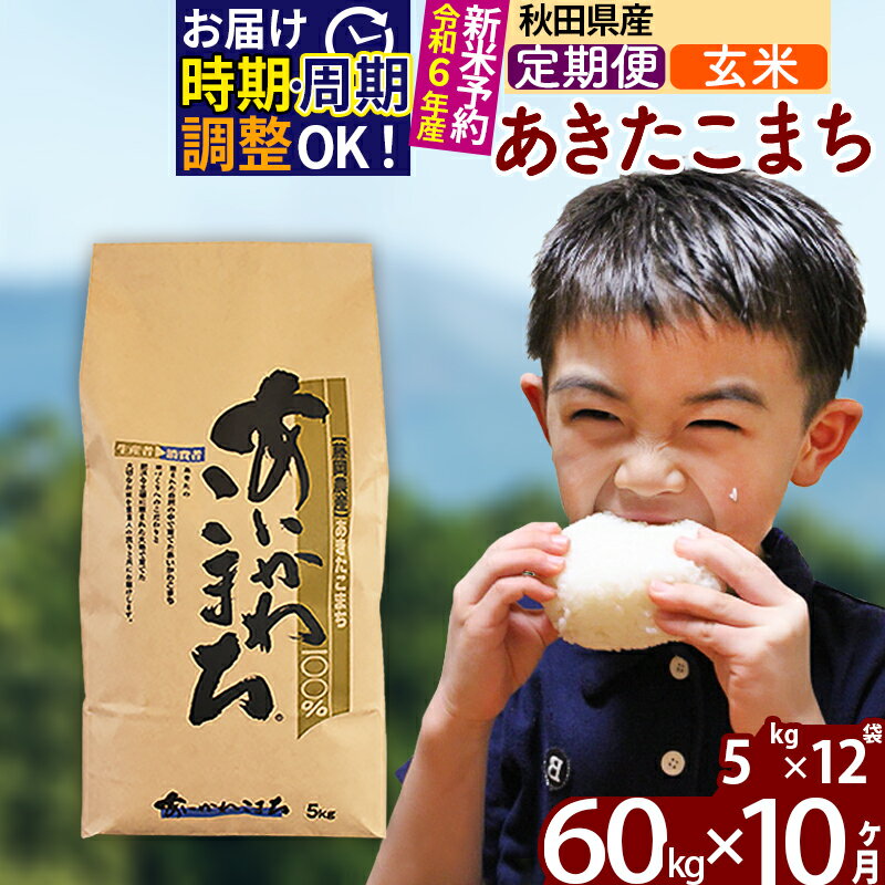 【ふるさと納税】※令和6年産 新米予約※《定期便10ヶ月》秋田県産 あきたこまち 60kg【玄米】(5kg小分け袋) 2024年産 お届け周期調整可能 隔月に調整OK お米 藤岡農産