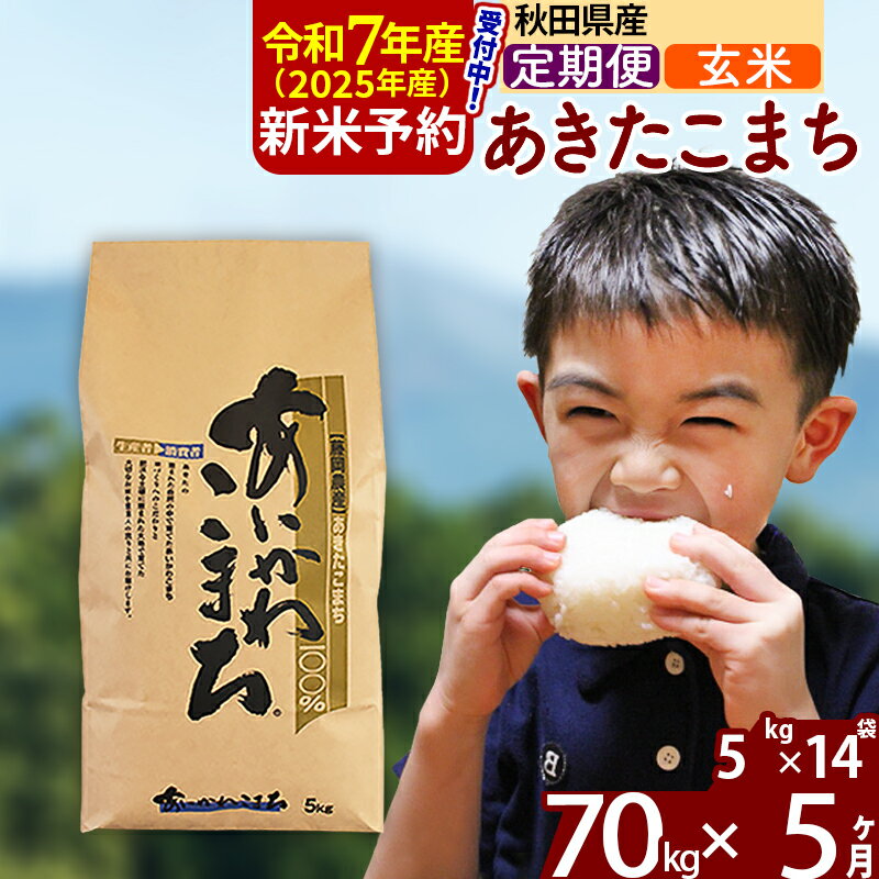 【ふるさと納税】※令和7年産 新米予約※《定期便5ヶ月》秋田県産 あきたこまち 70kg【玄米】(5kg小分け袋) 2025年産 お届け周期調整可能 隔月に調整OK お米 藤岡農産