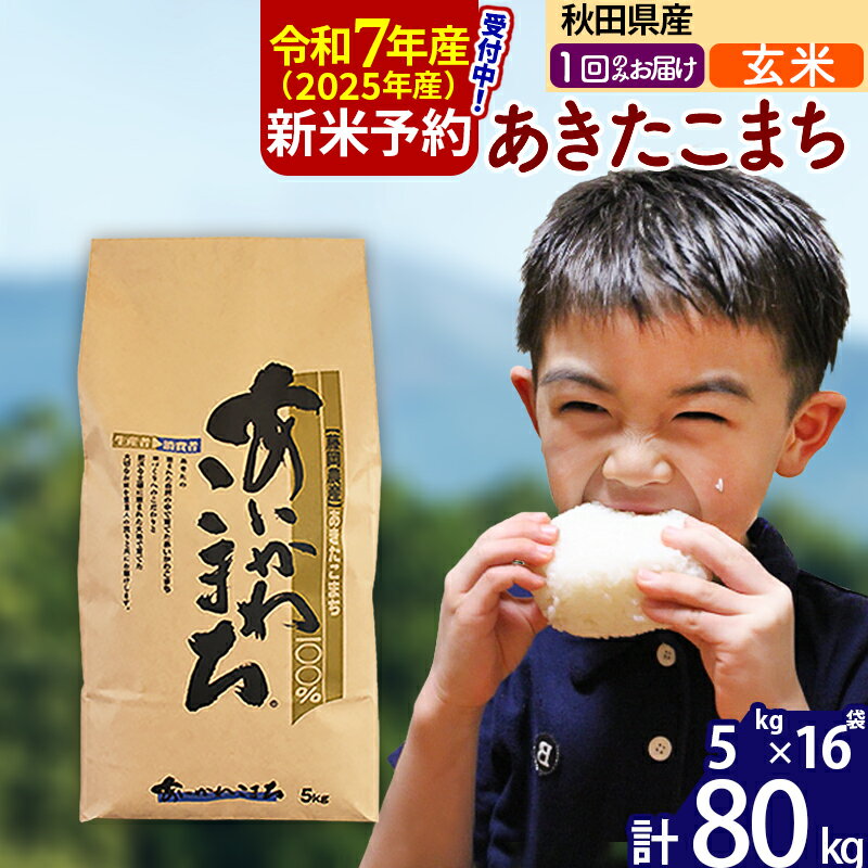 【ふるさと納税】※令和7年産 新米予約※秋田県産 あきたこまち 80kg【玄米】(5kg小分け袋) 【1回のみお届け】2025産 お米 藤岡農産