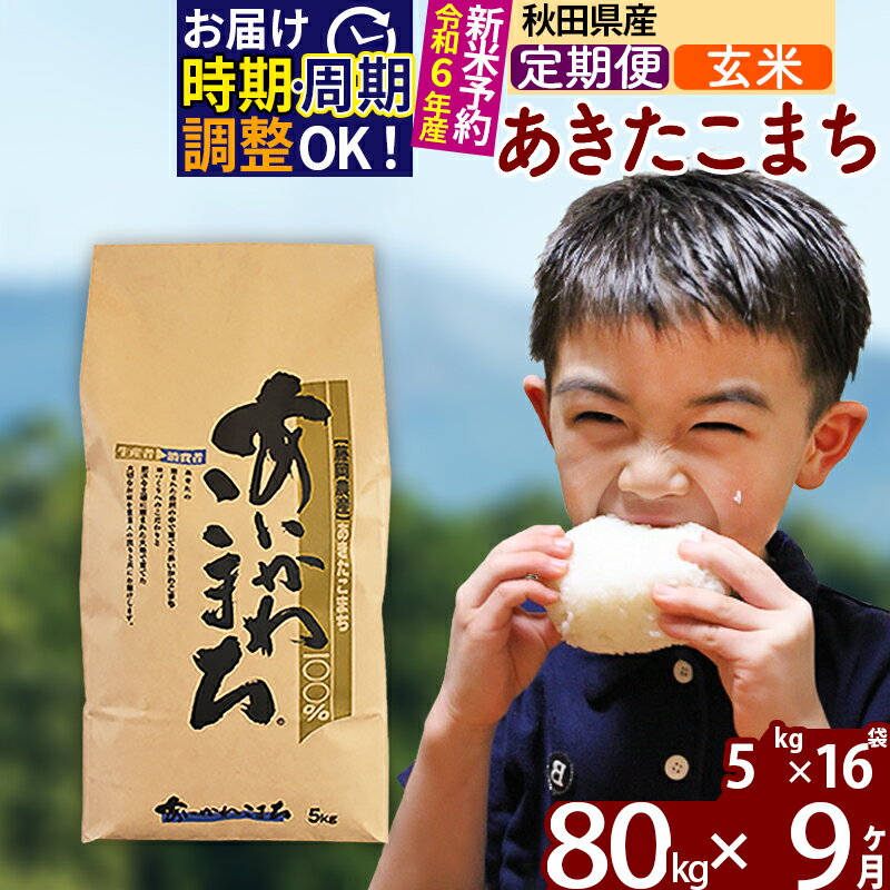 【ふるさと納税】※令和6年産 新米予約※《定期便9ヶ月》秋田県産 あきたこまち 80kg【玄米】(5kg小分け袋) 2024年産 お届け周期調整可能 隔月に調整OK お米 藤岡農産