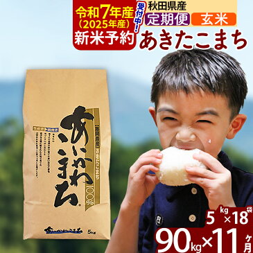 【ふるさと納税】 【玄米】 《定期便11ヶ月》 秋田県産 あきたこまち 90kg (5kg×18袋)×11回 計990kg 令和3年産 時期選べる お届け周期調整可能 隔月に調整OK あいかわこまち 一等米 11か月 11ヵ月 11カ月 11ケ月 90キロ お米