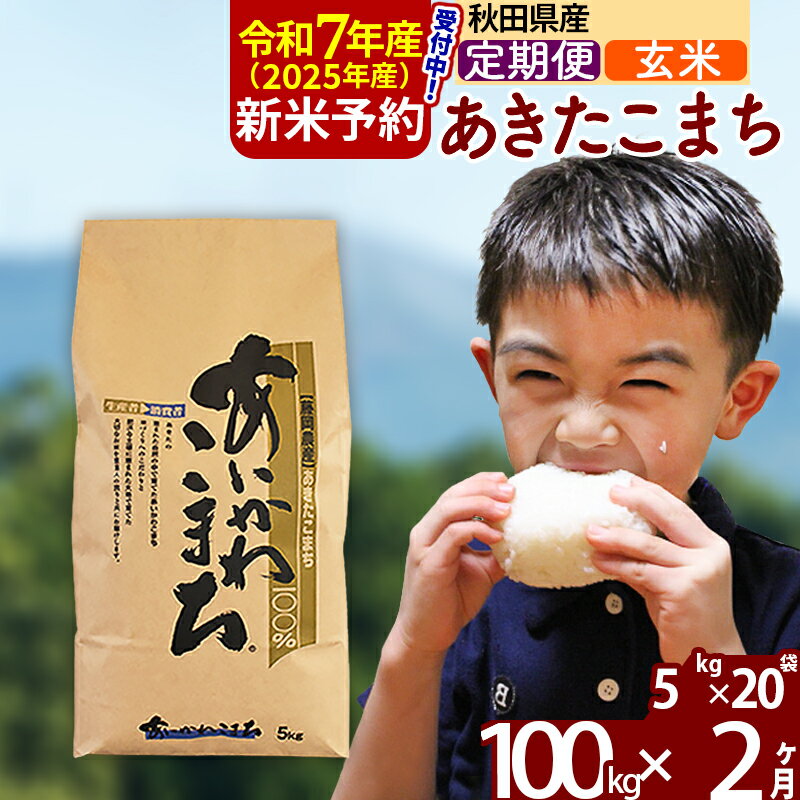 【ふるさと納税】※令和7年産 新米予約※《定期便2ヶ月》秋田県産 あきたこまち 100kg【玄米】(5kg小分け袋) 2025年産 お届け周期調整可能 隔月に調整OK お米 藤岡農産