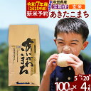 【ふるさと納税】※令和7年産 新米予約※《定期便4ヶ月》秋田県産 あきたこまち 100kg【玄米】(5kg小分け袋) 2025年産 お届け周期調整可能 隔月に調整OK お米 藤岡農産