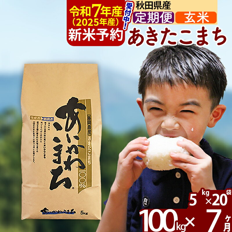 【ふるさと納税】※令和7年産 新米予約※《定期便7ヶ月》秋田県産 あきたこまち 100kg【玄米】(5kg小分け袋) 2025年産 お届け周期調整可能 隔月に調整OK お米 藤岡農産