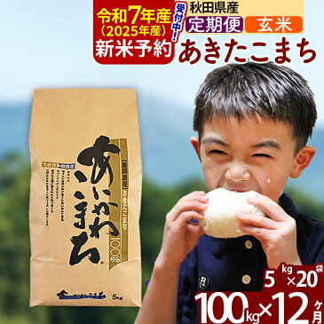 【ふるさと納税】 【玄米】 《定期便12ヶ月》 秋田県産 あきたこまち 100kg (5kg×20袋)×12回 計1200kg 令和3年産 時期選べる お届け周期調整可能 隔月に調整OK あいかわこまち 一等米 12か月 12ヵ月 12カ月 12ケ月 100キロ お米