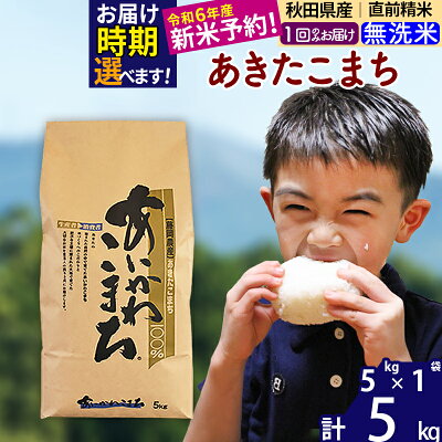 楽天ふるさと納税　【ふるさと納税】※令和6年産 新米予約※秋田県産 あきたこまち 5kg【無洗米】(5kg小分け袋)【1回のみお届け】2024産 お米 藤岡農産