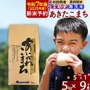 【ふるさと納税】※令和7年産 新米予約※《定期便9ヶ月》秋田県産 あきたこまち 5kg【無洗米】(5kg小分け袋) 2025年産 お届け周期調整可能 隔月に調整OK お米 藤岡農産