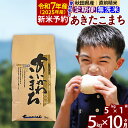 【ふるさと納税】※令和6年産 新米予約※《定期便10ヶ月》秋田県産 あきたこまち 5kg【無洗米】(5kg小分け袋) 2024年産 お届け周期調整可能 隔月に調整OK お米 藤岡農産