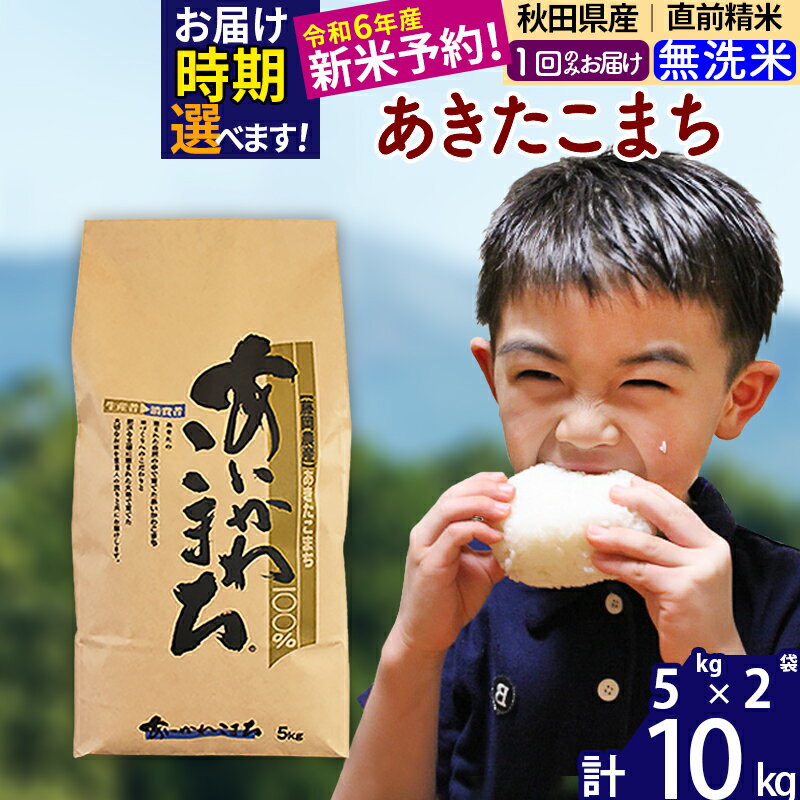 【ふるさと納税】※令和6年産 新米予約※秋田県産 あきたこまち 10kg【無洗米】(5kg小分け袋)【1回のみお届け】2024産 お米 藤岡農産