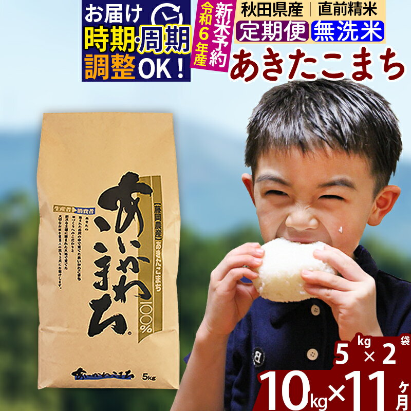 【ふるさと納税】※令和6年産 新米予約※《定期便11ヶ月》秋