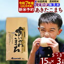 【ふるさと納税】※令和7年産 新米予約※《定期便3ヶ月》秋田県産 あきたこまち 15kg【無洗米】(5kg小分け袋) 2025年産 お届け周期調整可能 隔月に調整OK お米 藤岡農産