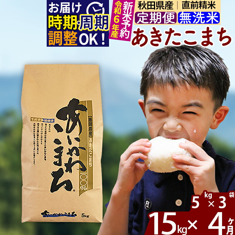 【ふるさと納税】※令和6年産 新米予約※《定期便4ヶ月》秋田