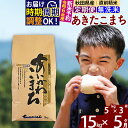 【ふるさと納税】※令和6年産 新米予約※《定期便5ヶ月》秋田県産 あきたこまち 15kg【無洗米】(5kg小分け袋) 2024年産 お届け周期調整可..