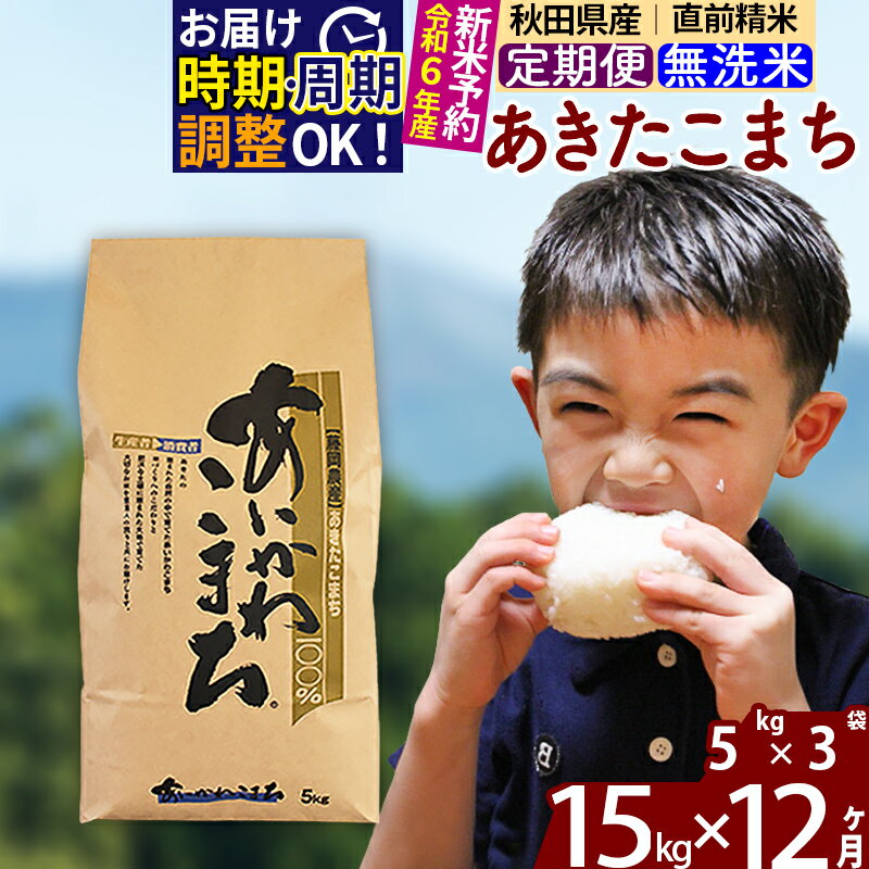 【ふるさと納税】※令和6年産 新米予約※《定期便12ヶ月》秋田県産 あきたこまち 15kg【無洗米】(5kg小分け袋) 2024年産 お届け周期調整可能 隔月に調整OK お米 藤岡農産