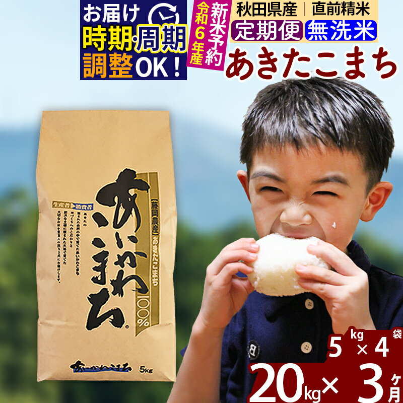 【ふるさと納税】※令和6年産 新米予約※《定期便3ヶ月》秋田